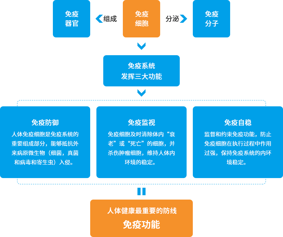太阳GG官网